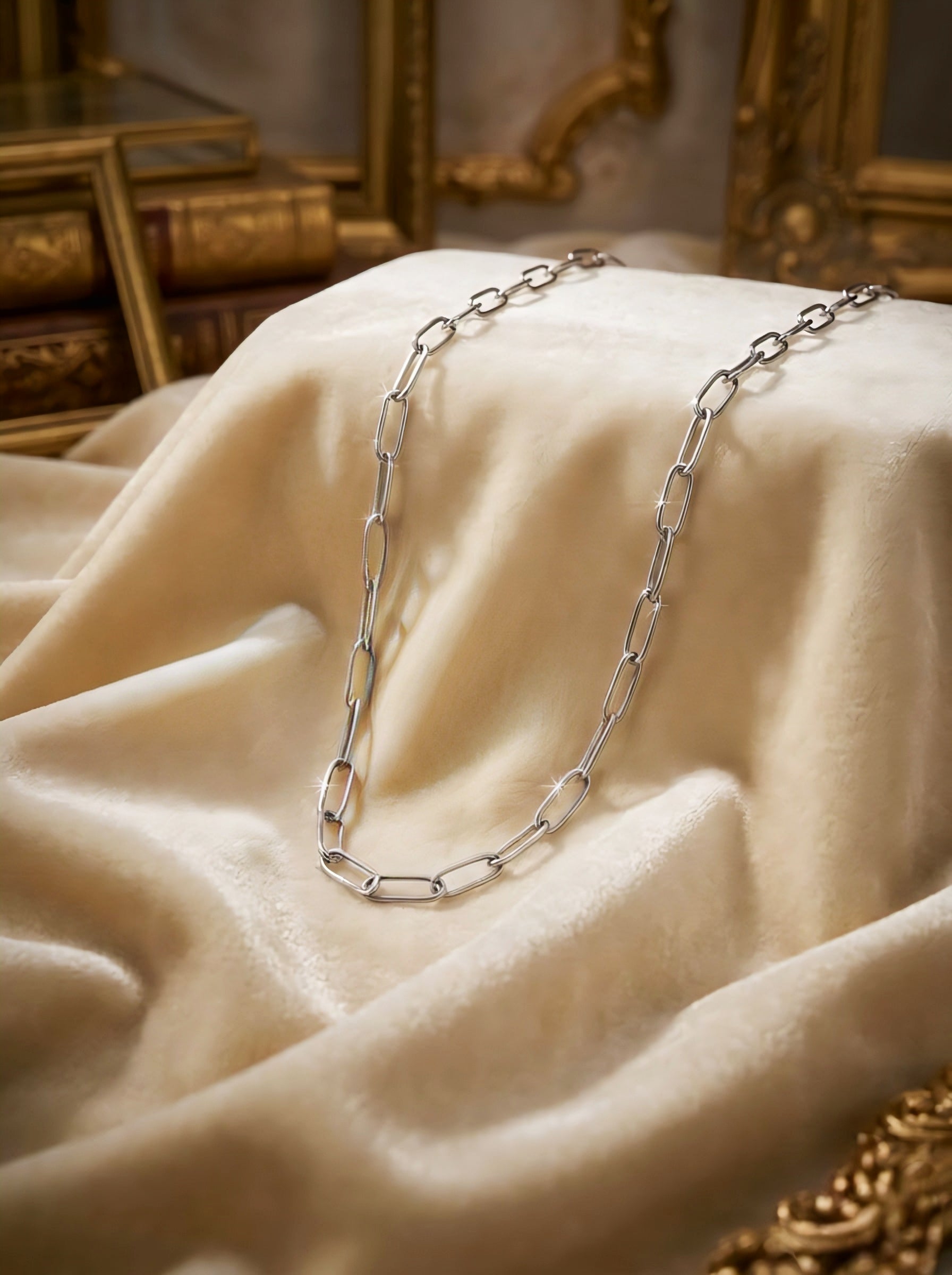 SILVER CLIP CHAIN